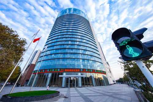 聚焦河南自貿(mào)五周年 自貿(mào)區(qū)政策賦能，鄭商所將新設(shè)商品交易中心